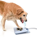 Auto-dispense Dog Water Fountain - Mint Accessories