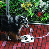 Auto-dispense Dog Water Fountain - Mint Accessories